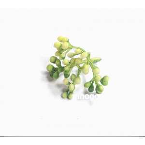 Соцветие нартеры, бело-зеленое 10 шт